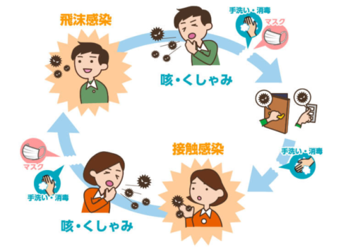 風邪がうつる仕組み